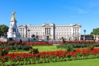 Ne intalnim cu ghidul local si pornim alaturi de el intr-un tur de oras. Admiram Palatul Buckingham