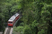 Vizita incepe in apropierea Cosme Velho, de unde un tren-mocanita va va transporta prin cea mai mare padure urbana din lume, Padurea Tijuca