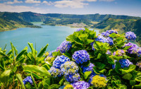 Vom pleca din Ponta Delgada pentru o excursie la Sete Cidades.