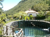 Continuam apoi spre Ribeiro Frio unde vom vizita o pastravarie