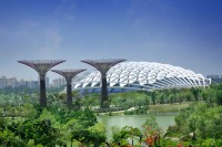 Aici puteti vizita renumitele sere climatizate Flower Dome si Cloud Forest