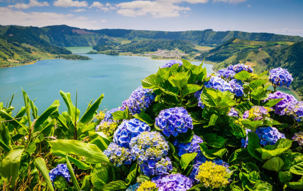 Vom pleca din Ponta Delgada pentru o excursie la Sete Cidades.