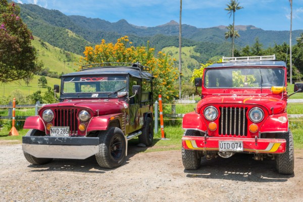 Excursie in jeep-uri Willis pe Valea Cocora situata in departamentul Quindío din Anzii columbieni