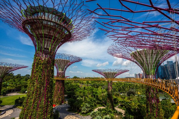 Puteti face o plimbarea de-a lungul OCBC Skyway care va va aduce in cele din urma la inaltimile Supertrees care ofera o panorma deosebita asupra gradinilor si a orasului Singapore de la 22 m inaltime.