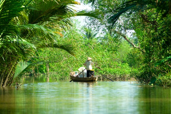 Aceasta zi este dedicata Deltei Mekong. Dupa o calatorie de 4.800 km prin Platoul Tibetan, fluviul Mekong coboara in sudul Vietnamului intr-o retea acvatica, varsandu-se in Marea Chinei de Sud prin noua brate.